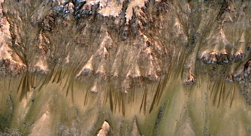 inside rim of Newton Crater on Mars