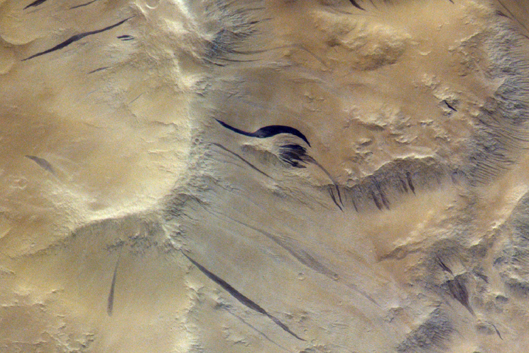 Bright and dark slope streaks on the surface of Mars